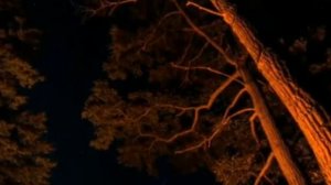 Время покажет  время расставит, все по местам своим