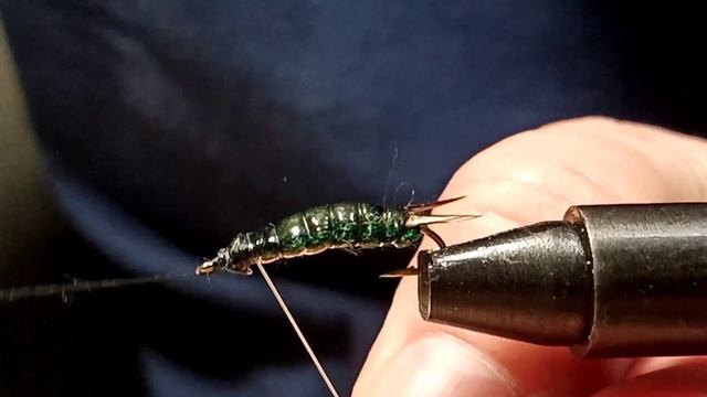 Личинка стрекозы (dragonfly larva) версия 1 смотреть онлайн