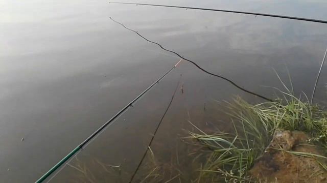 Рыбалка на Селенге и не только 7 смотреть онлайн