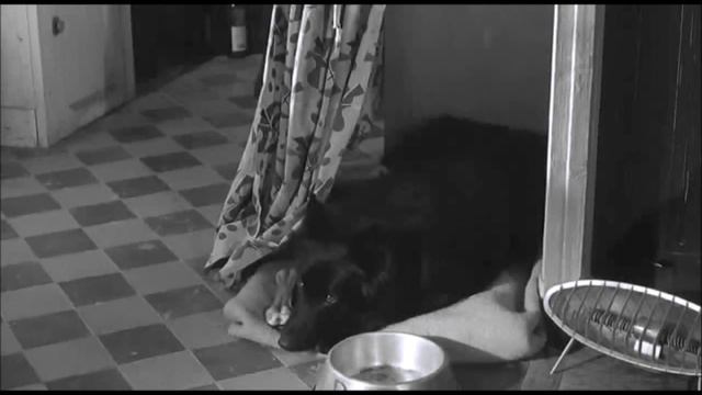 Giovanni Nuti - Vita da bohème смотреть онлайн