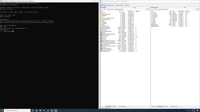 Quick example of using the spool command in SQLPLUS смотреть онлайн