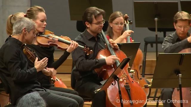 Benjamin Britten: Simple Symphony, 2. Playful Pizzicato смотреть онлайн