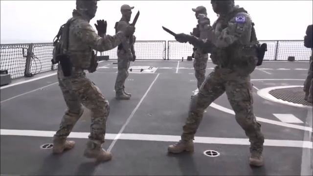 South Korean Navy SEAL Show Extreme Knife Fighting Tactics ..!!