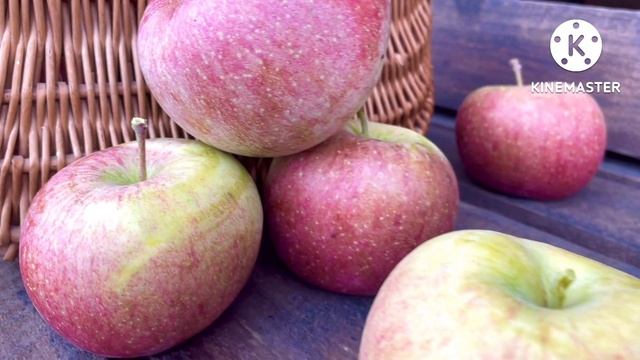 Яблоки Фуджи ,первый урожай? смотреть онлайн