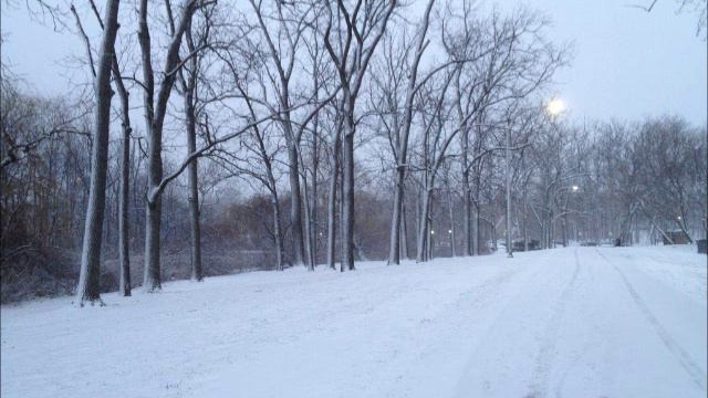 Best Emotional Music - Snowfall on Forbidden Lands смотреть онлайн