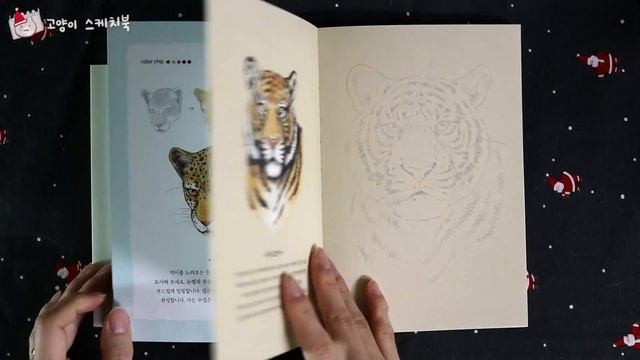 5-min Coloring Book Animal Coloring 3 Flip Through & Coloring? смотреть онлайн