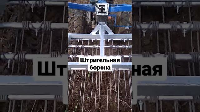 Вычесываем сорняки мотоблоком смотреть онлайн