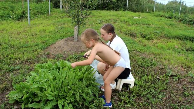 #банясвоимируками#опилкобетон#безлесенок#участок Июль 2021г. Продолжение стройки, небольшой обзор.