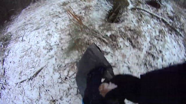 Сбор кедровой шишки по первому снегу смотреть онлайн