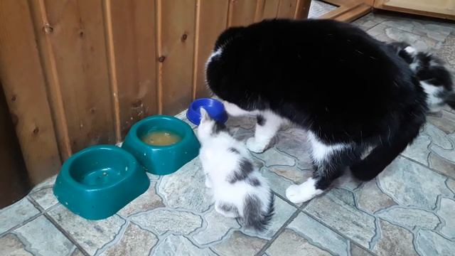 Суп налили, а ложку дать забыли