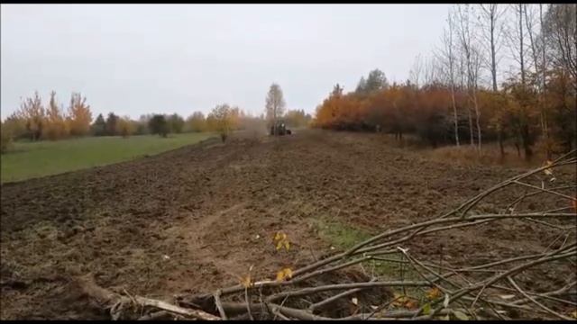 Трактор валит деревья огромными дисками