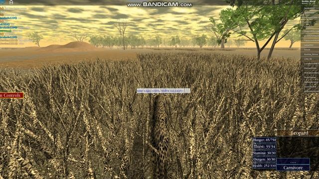 ИГРАЮ В ДИКУЮ САВАННУ В РОБЛОК С ( WILD SAVANNAH ) смотреть онлайн