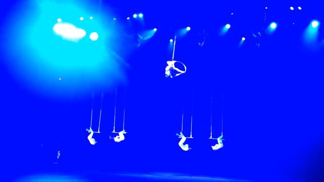 2013 Royal NS International tattoo trapeze artists смотреть онлайн