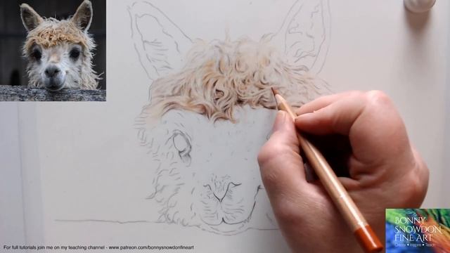 Live Draw Along and Chat | Alpaca | Curly Fur on Drafting Film | Part 2 смотреть онлайн
