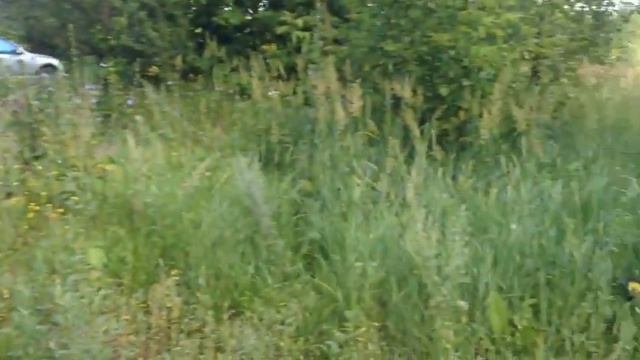 Гавно какое то в руки взял. Вот это шок смотреть онлайн