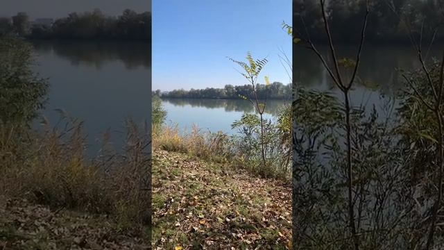 Гуси Кубань смотреть онлайн