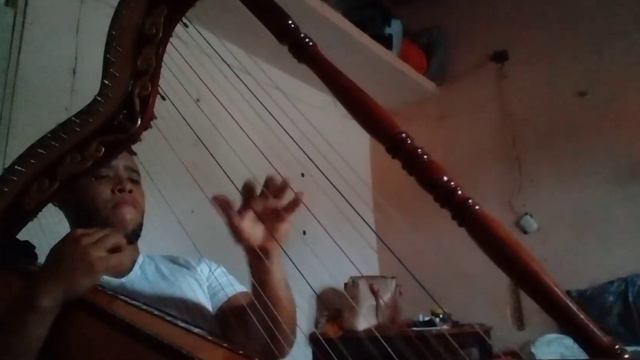 Son Jarocho Canto Alvarado смотреть онлайн