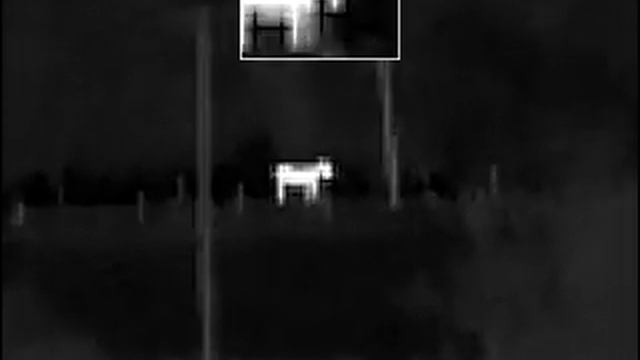 Night Pearl Scops 35 Pro II - field view смотреть онлайн