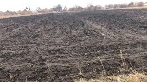 Миллион на 40 сотках! Как заработать на огороде?