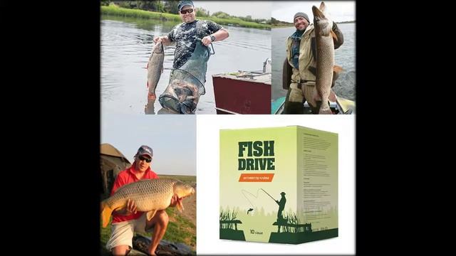 активатор клева fishhungry развод или нет форум смотреть онлайн