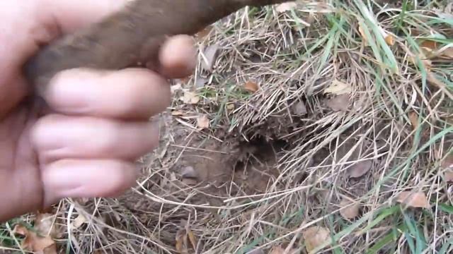 Обзор на металоискатель Pirat MTX и коп сним смотреть онлайн