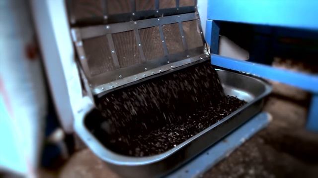 производство семечек "Шелупоньки" смотреть онлайн