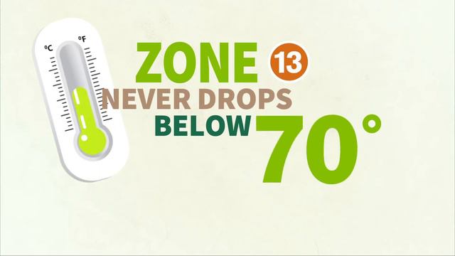 Find Your Plant Hardiness Zone | Backyard Smart: Know Your Zone | YouTube смотреть онлайн
