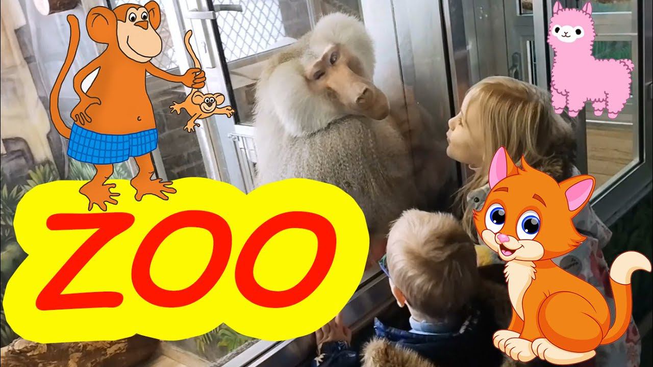 ZOO смотреть онлайн