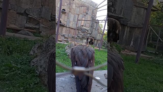 13 июля 2022 г. смотреть онлайн