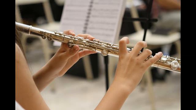 Волшебная флейта. The Magic Flute.