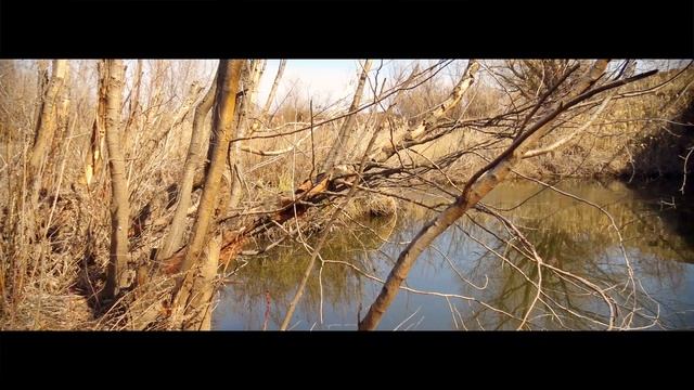 Sony AX33 / Test Video / тест видео / KVS V4 / Черноярово