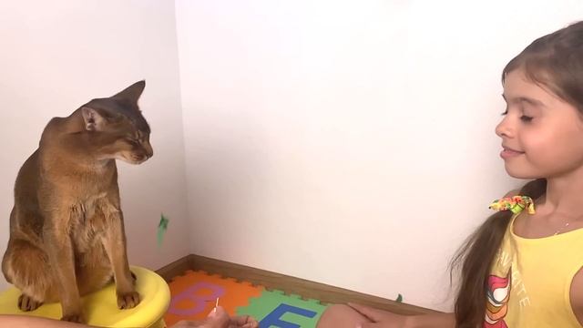 Чья реакция быстрей? Кот или Nika-Вероника? Жесткий тест. смотреть онлайн