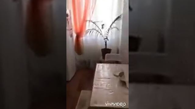 1 ком ЖК Гранд Астана город Нурсултан Нажимеденова 10/2 смотреть онлайн