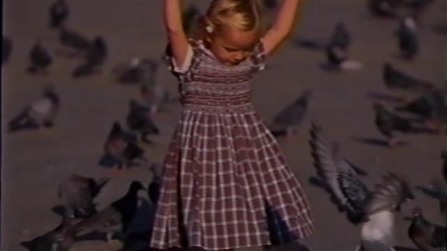 The Nikon F100 Instructional video from Nikon School смотреть онлайн