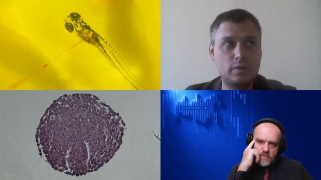 1154. В.С. Покровский: Можно ли заразиться раком. Откуда берутся раковые опухоли