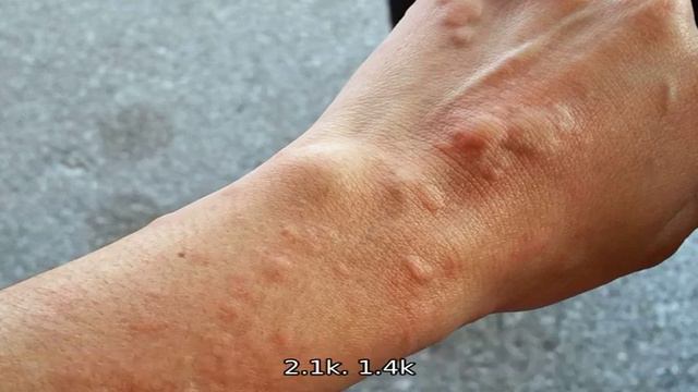 КОЖА смотреть онлайн