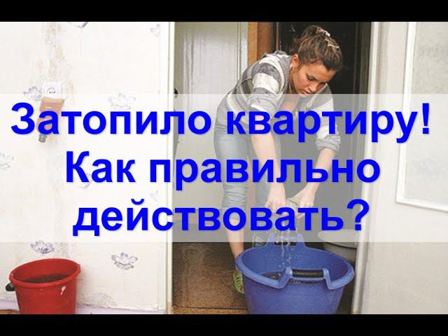 Как взыскать ущерб за затопленную квартиру? Инструкция смотреть онлайн