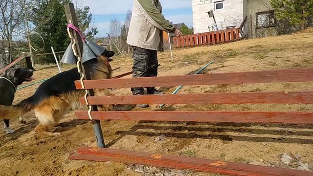 Распрыгиваемся после зимы 🥰 смотреть онлайн