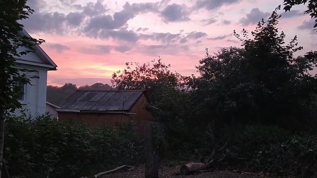 Расчищаем участок перед домом под посев газона из белого клевера. Начинаем выносить старую мебель. смотреть онлайн