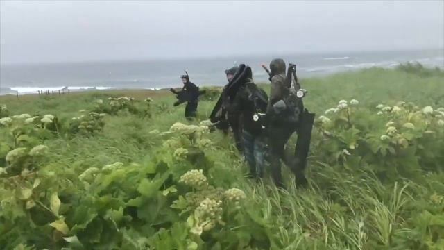 Дорога на лежбище морских котиков и сивучей о.Беринга смотреть онлайн