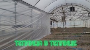 Теплица в Теплице