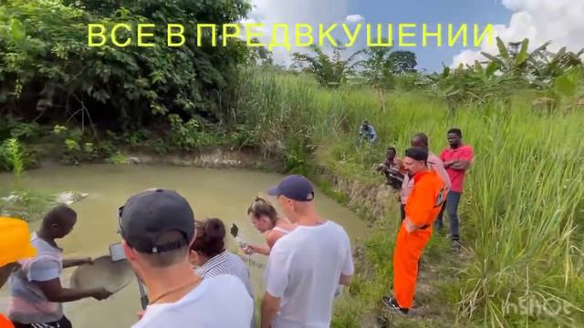 Золотоносные земли Renaissance Company. Компания купила золотые земли в Гане смотреть онлайн