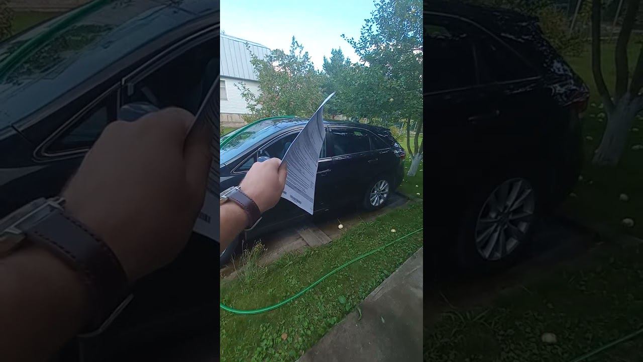 Павел Жигарёв