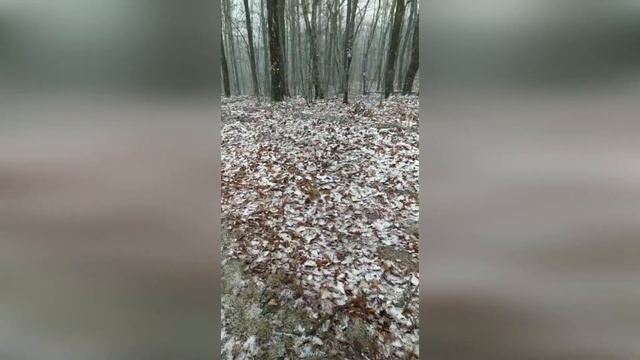 Снежок и трава: особенности Новороссийской погоды смотреть онлайн