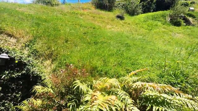 A Day As A Hobbit  - Hobbiton, New Zealand