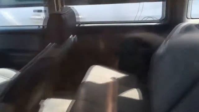 1992 Eagle Summit LX Wagon Walkaround and Overview смотреть онлайн