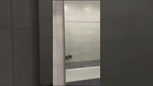 Монтаж сенсорного выключателя DZs-2-220, на зеркало, к светильнику IKEA своими руками. смотреть онлайн