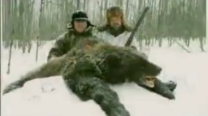 Охота на медведя поднятие берлоги