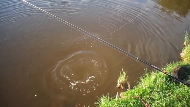 Раменский рыбхоз "Гжелка" смотреть онлайн