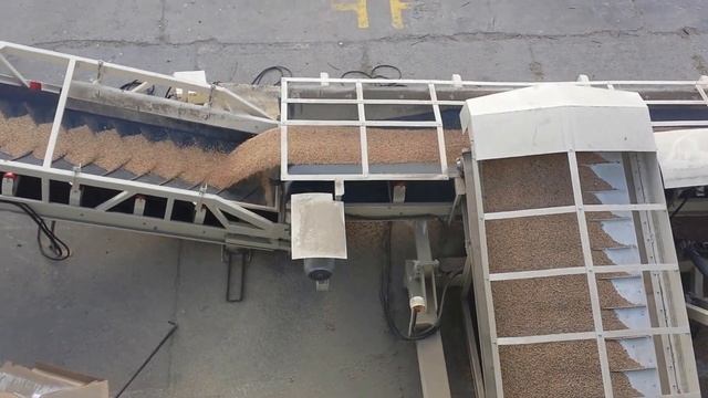 Разгрузка хоппера и загрузка морского контейнера